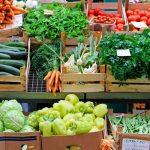Harga Sayuran Di Kota Pontianak Terbaru