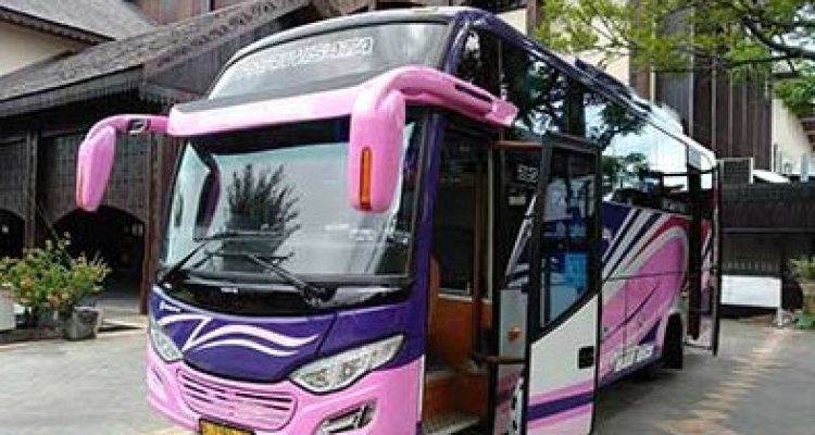 Harga Sewa Bus Di Kota Pontianak Terbaru