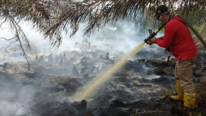 Petugas melakukan pemadaman kebakaran hutan di Riau