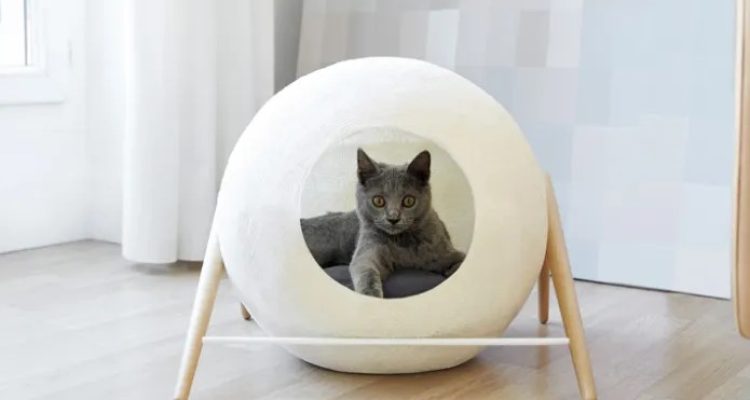 Mengintegrasikan Teknologi dan Inovasi dalam Rumah Kucing