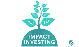 Impact investing investment