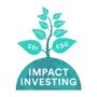 Impact investing investment