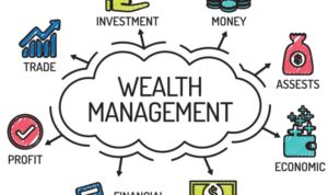 Wealth including