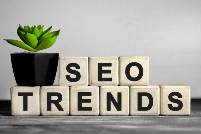 Understanding SEO Trends