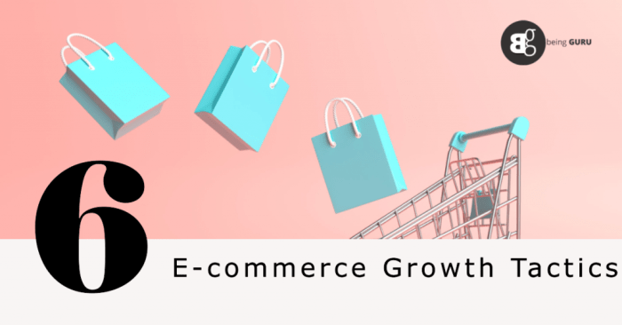 E-commerce Growth Tips