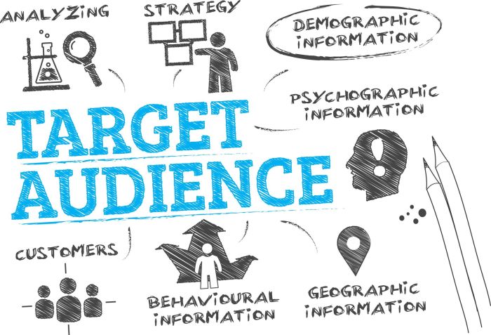 Understanding Audience Demographics