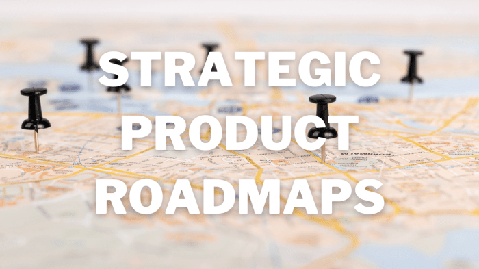 Developing a Product Roadmap